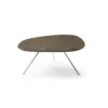 Leolux_Liliom_Coffee_Table