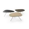 Leolux_Liliom_Coffee_Table