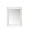 Kartell Francois Ghost mirror