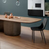 Bonaldo By dining chair