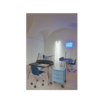 Kartell Earl of wood desk