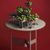 Hay Shim Coffee Table