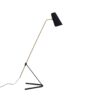 Ligne Roset G21 floor lamp