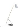 Ligne Roset G21 floor lamp