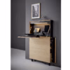Flatmate Desk by Mueller