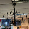 Flos 2097/30 suspension light