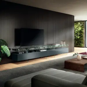 Lago Air TV Media Unit
