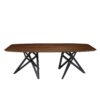 Ligne Roset Ennea table