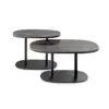 Leolux Toveri Coffe Table